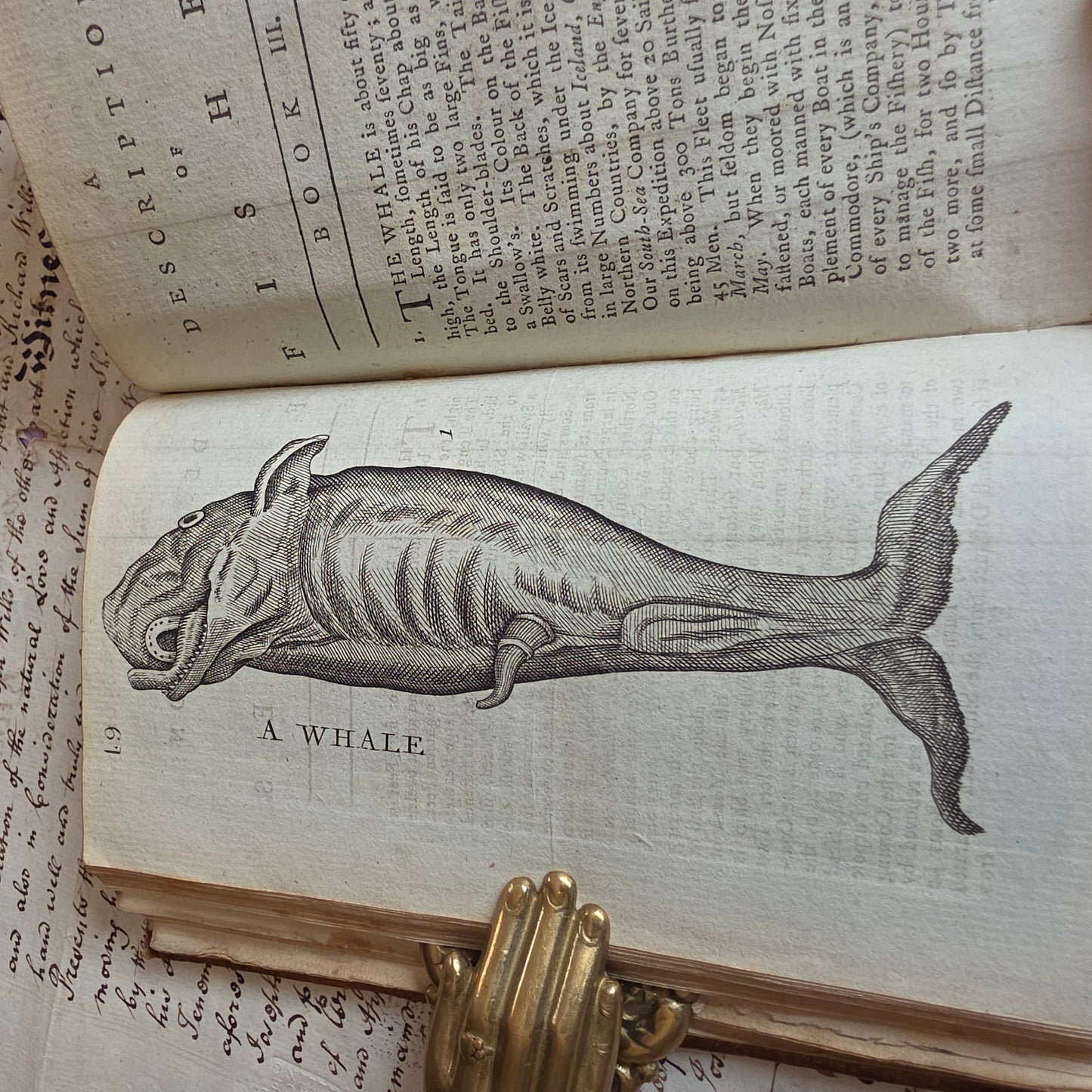 1791 A Description of Three Hundred Animals - Antique Book - Unicorns, Dragons etc.