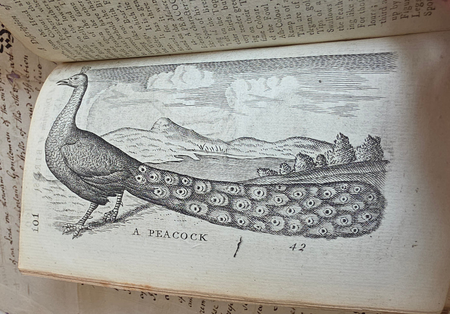1791 A Description of Three Hundred Animals - Antique Book - Unicorns, Dragons etc.