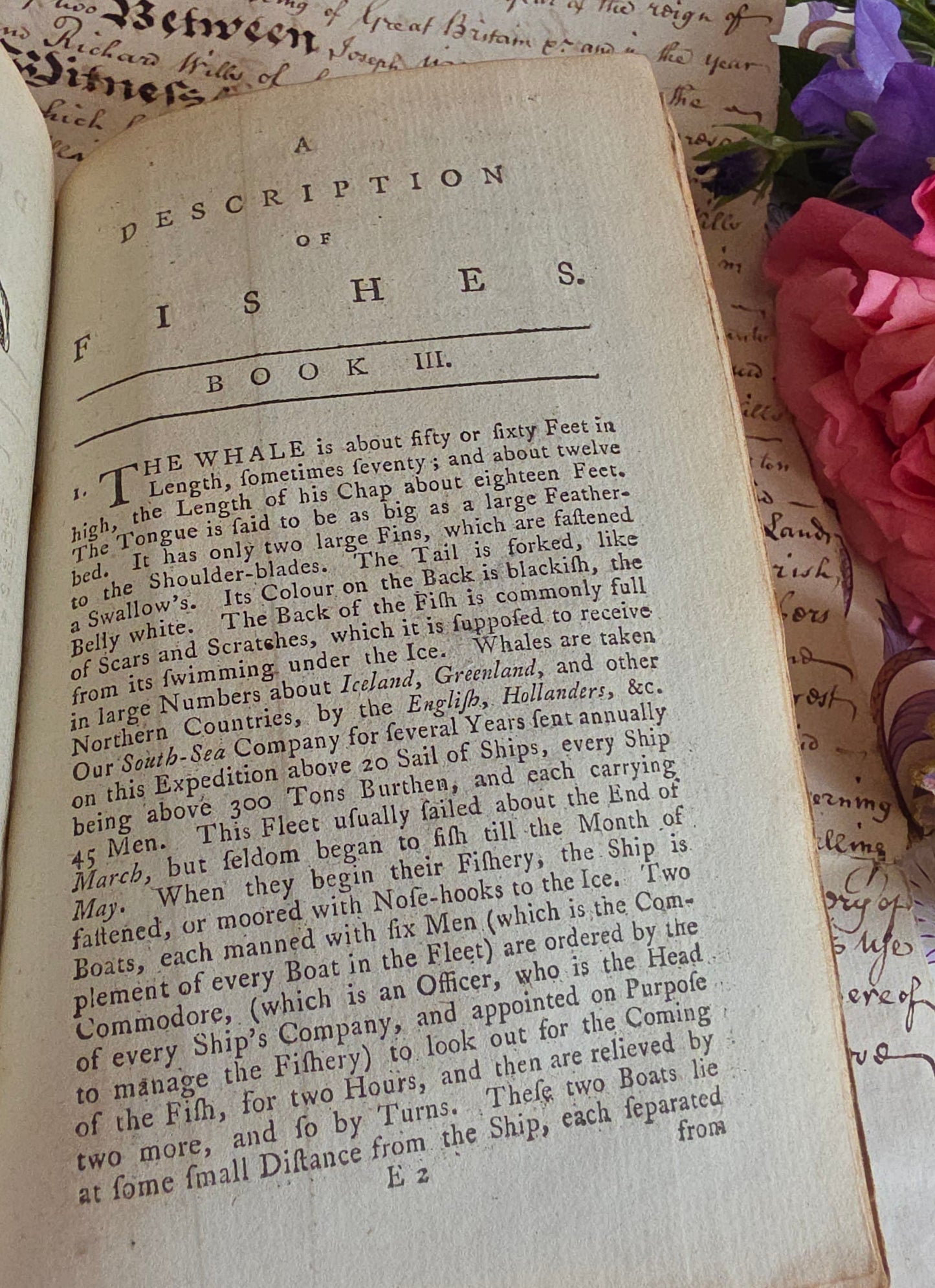 1791 A Description of Three Hundred Animals - Antique Book - Unicorns, Dragons etc.