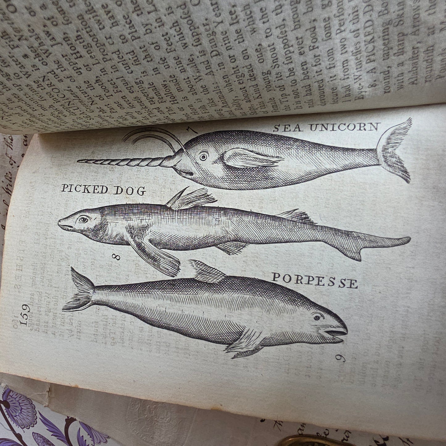 1791 A Description of Three Hundred Animals - Antique Book - Unicorns, Dragons etc.