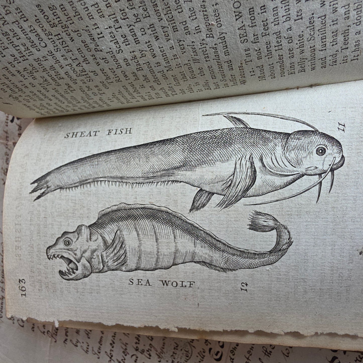 1791 A Description of Three Hundred Animals - Antique Book - Unicorns, Dragons etc.