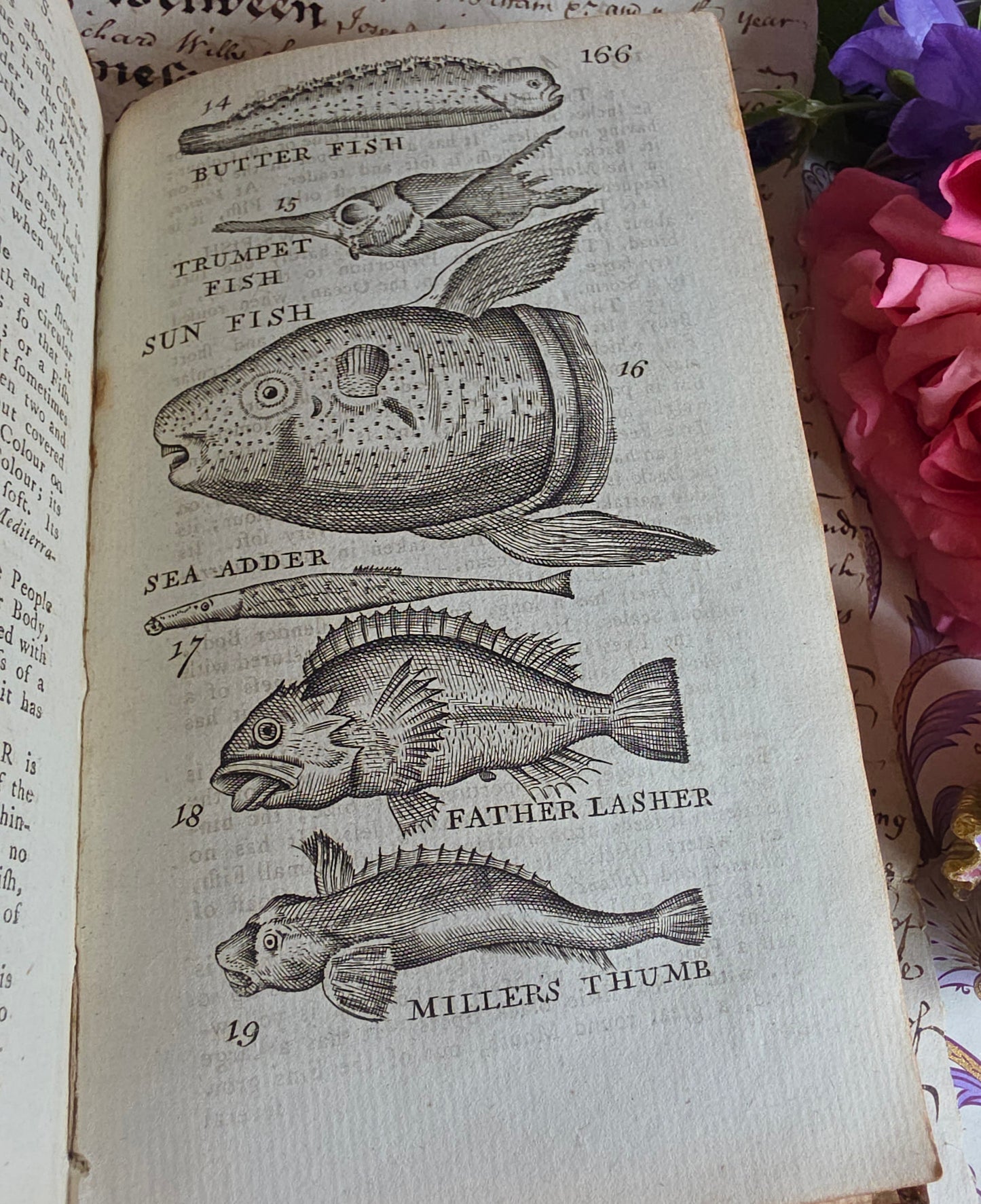 1791 A Description of Three Hundred Animals - Antique Book - Unicorns, Dragons etc.