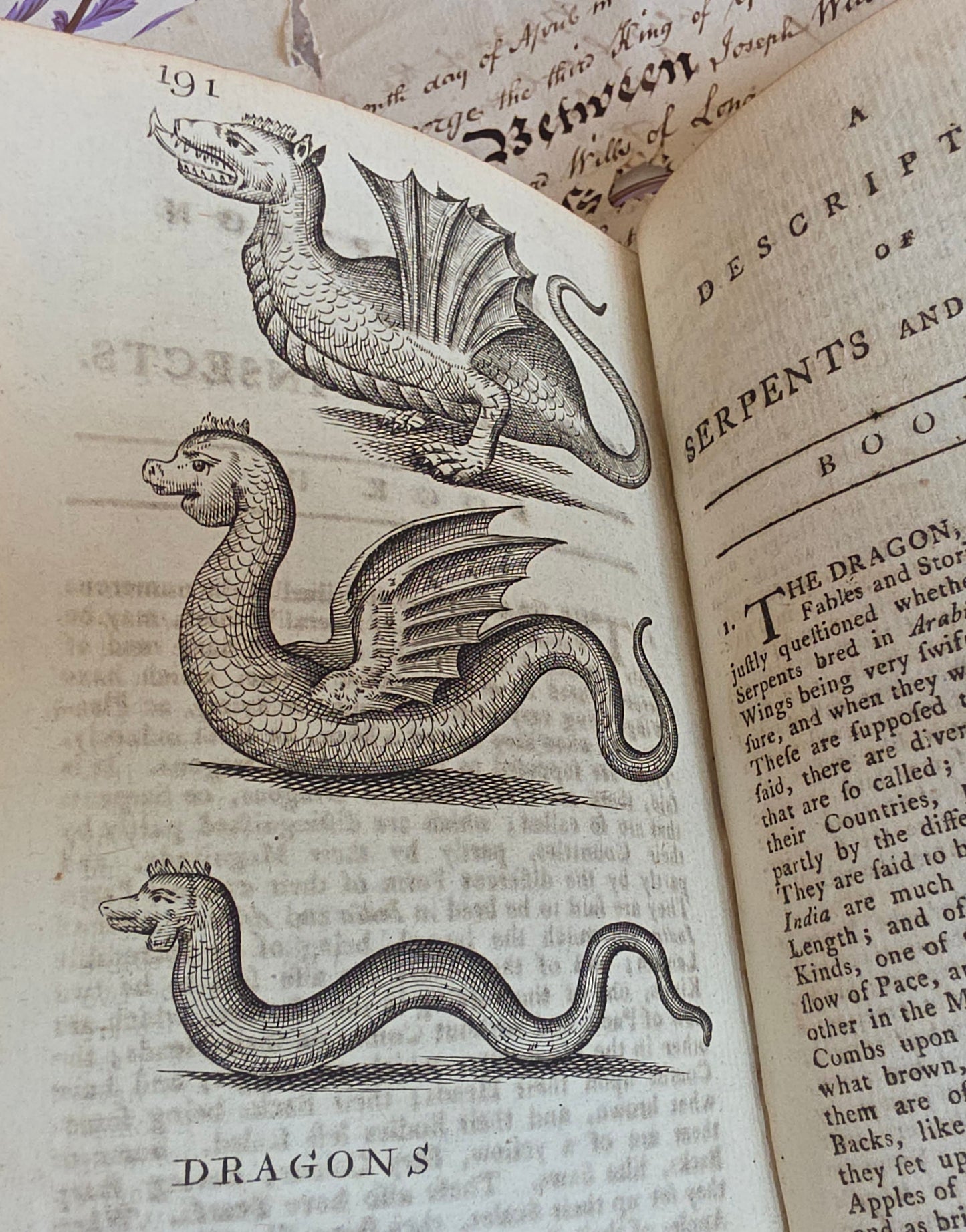 1791 A Description of Three Hundred Animals - Antique Book - Unicorns, Dragons etc.