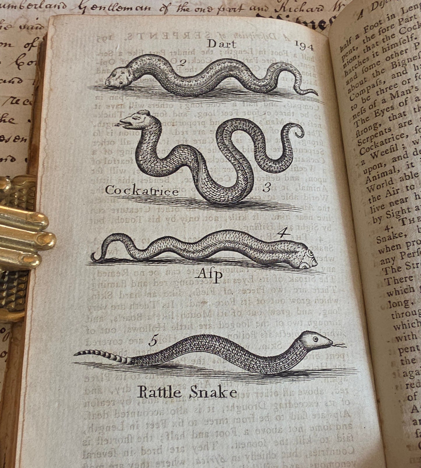 1791 A Description of Three Hundred Animals - Antique Book - Unicorns, Dragons etc.