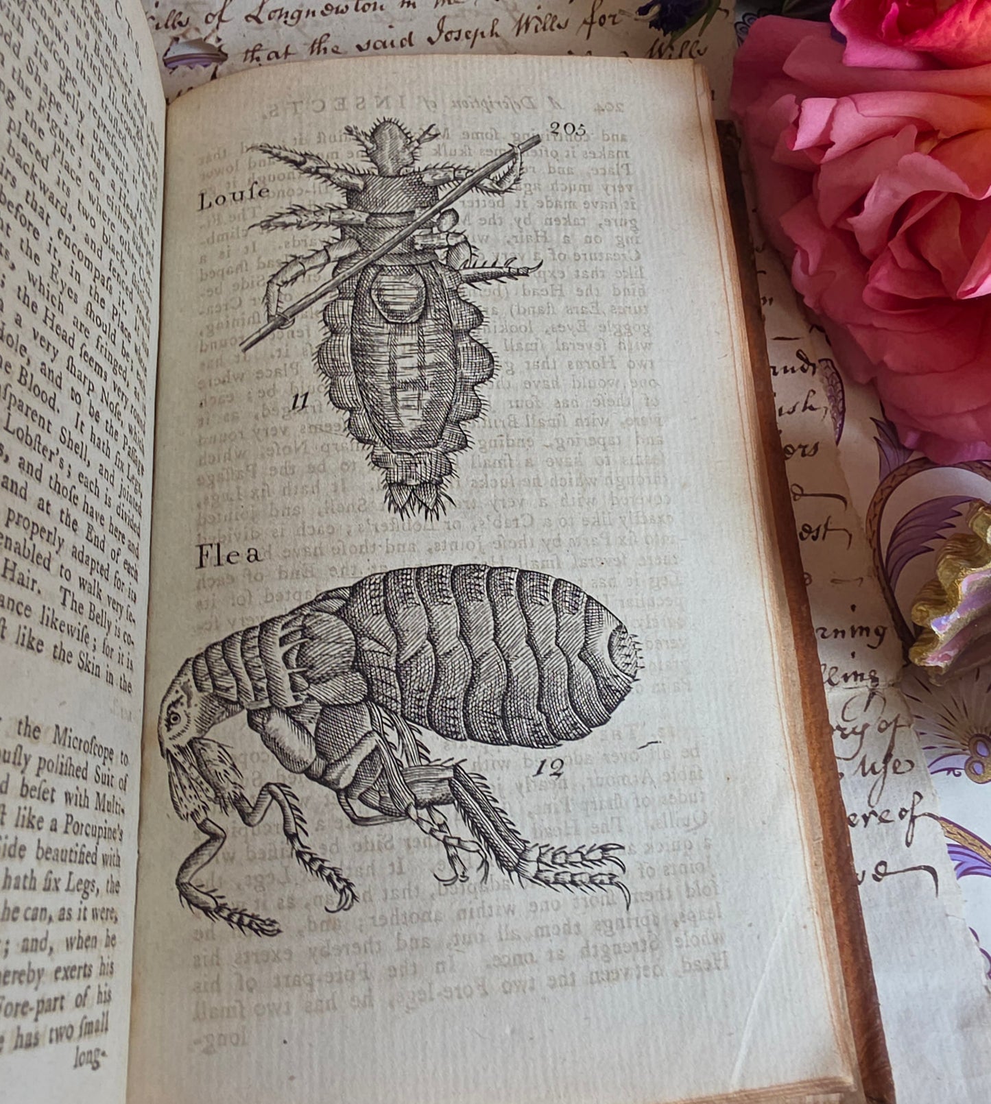 1791 A Description of Three Hundred Animals - Antique Book - Unicorns, Dragons etc.