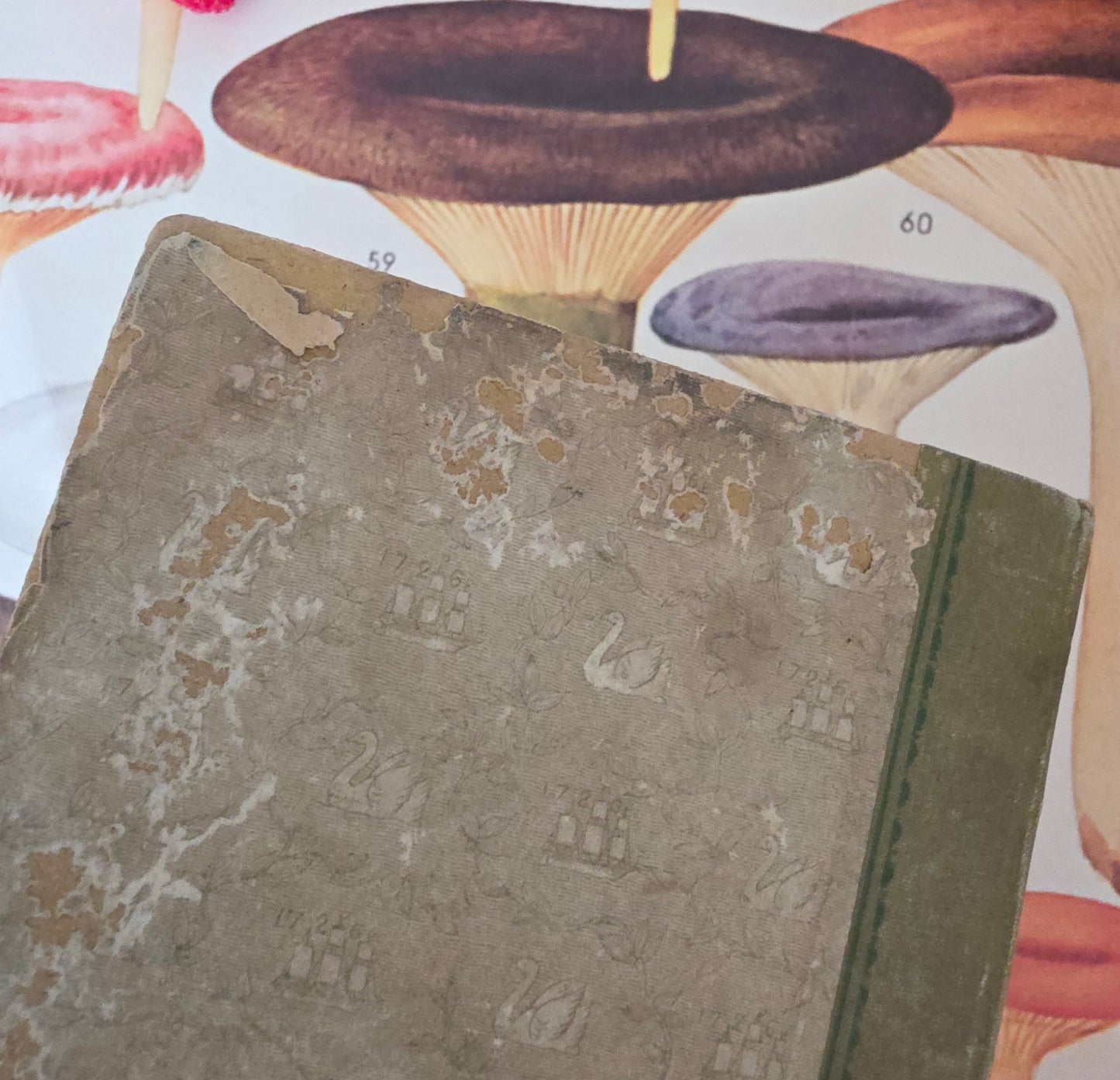 1896-1910 Set of Seven Victorian Cookery Books in the À la Mode Series by Mrs de Salis
