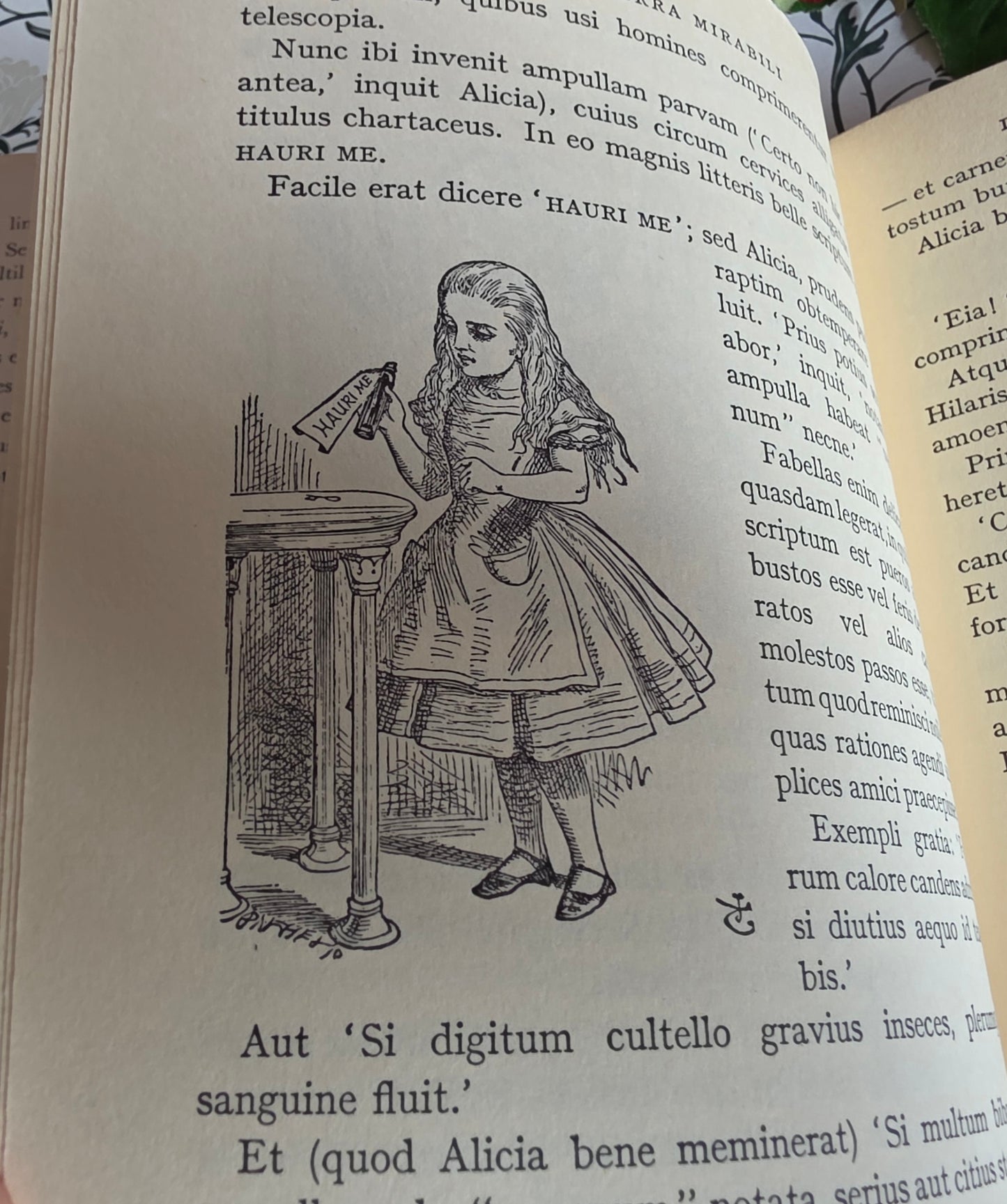 1967 Alice's Adventures in Wonderland in Latin - Illustrated Vintage Book