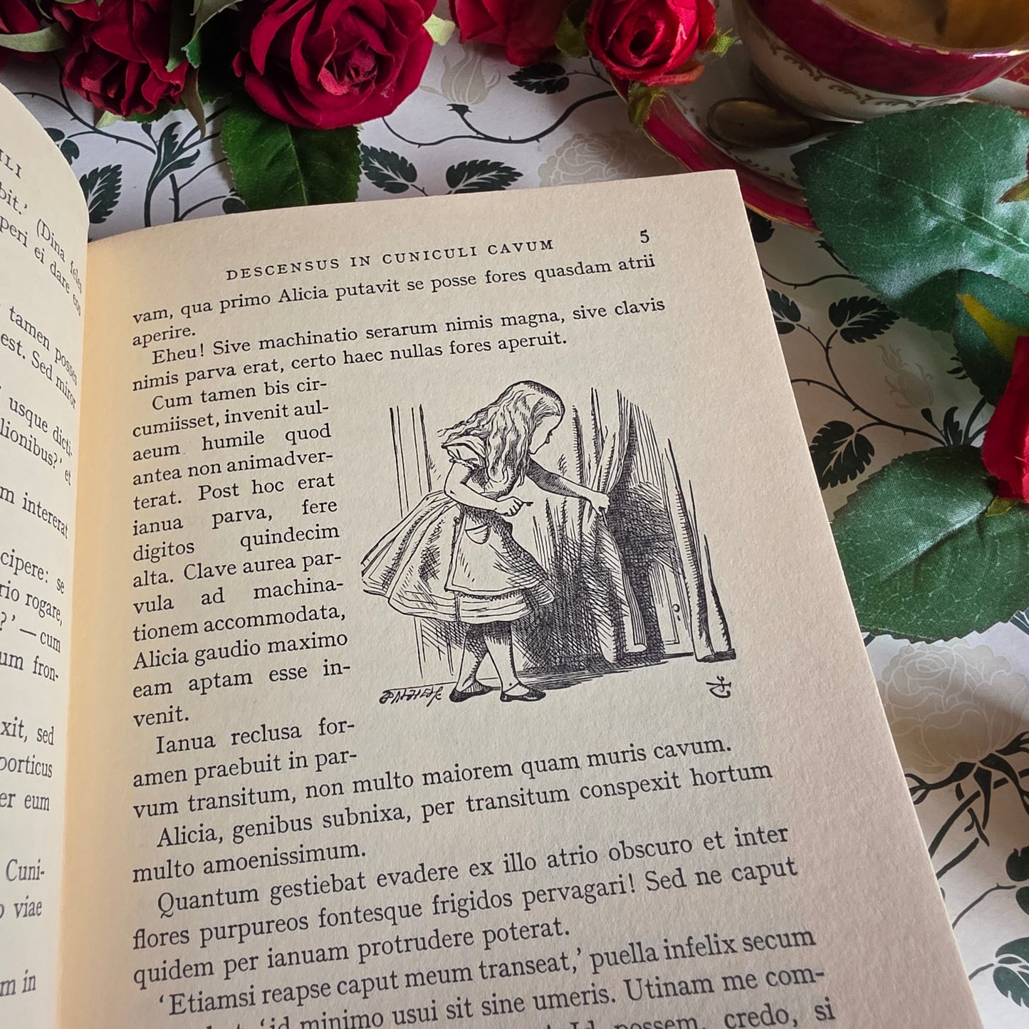1967 Alice's Adventures in Wonderland in Latin - Illustrated Vintage Book