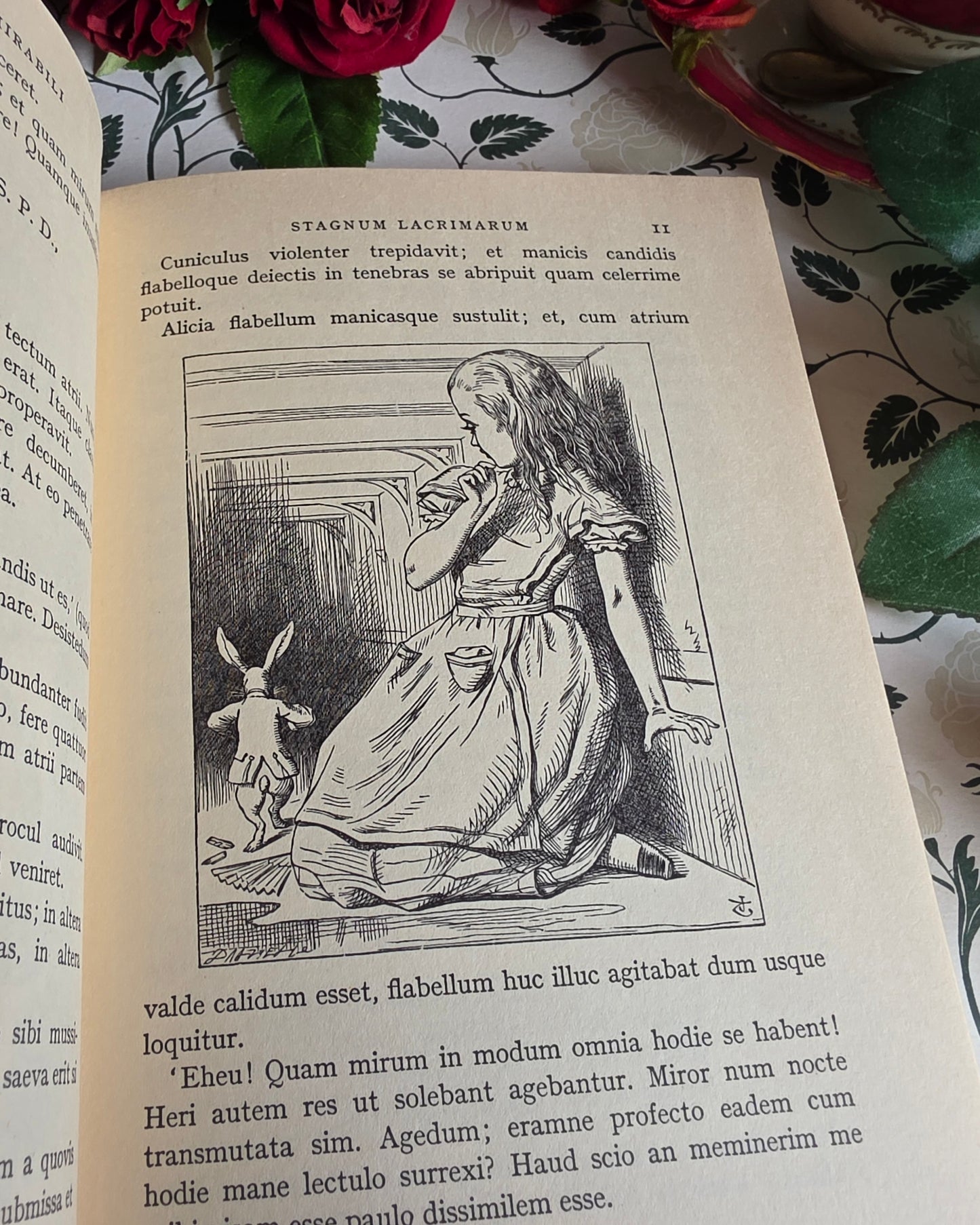 1967 Alice's Adventures in Wonderland in Latin - Illustrated Vintage Book