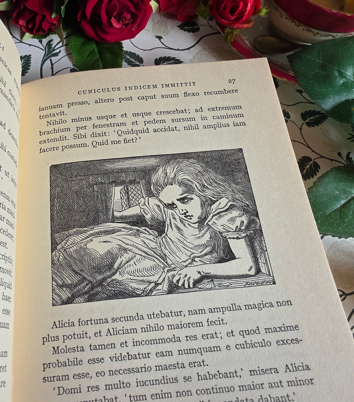 1967 Alice's Adventures in Wonderland in Latin - Illustrated Vintage Book