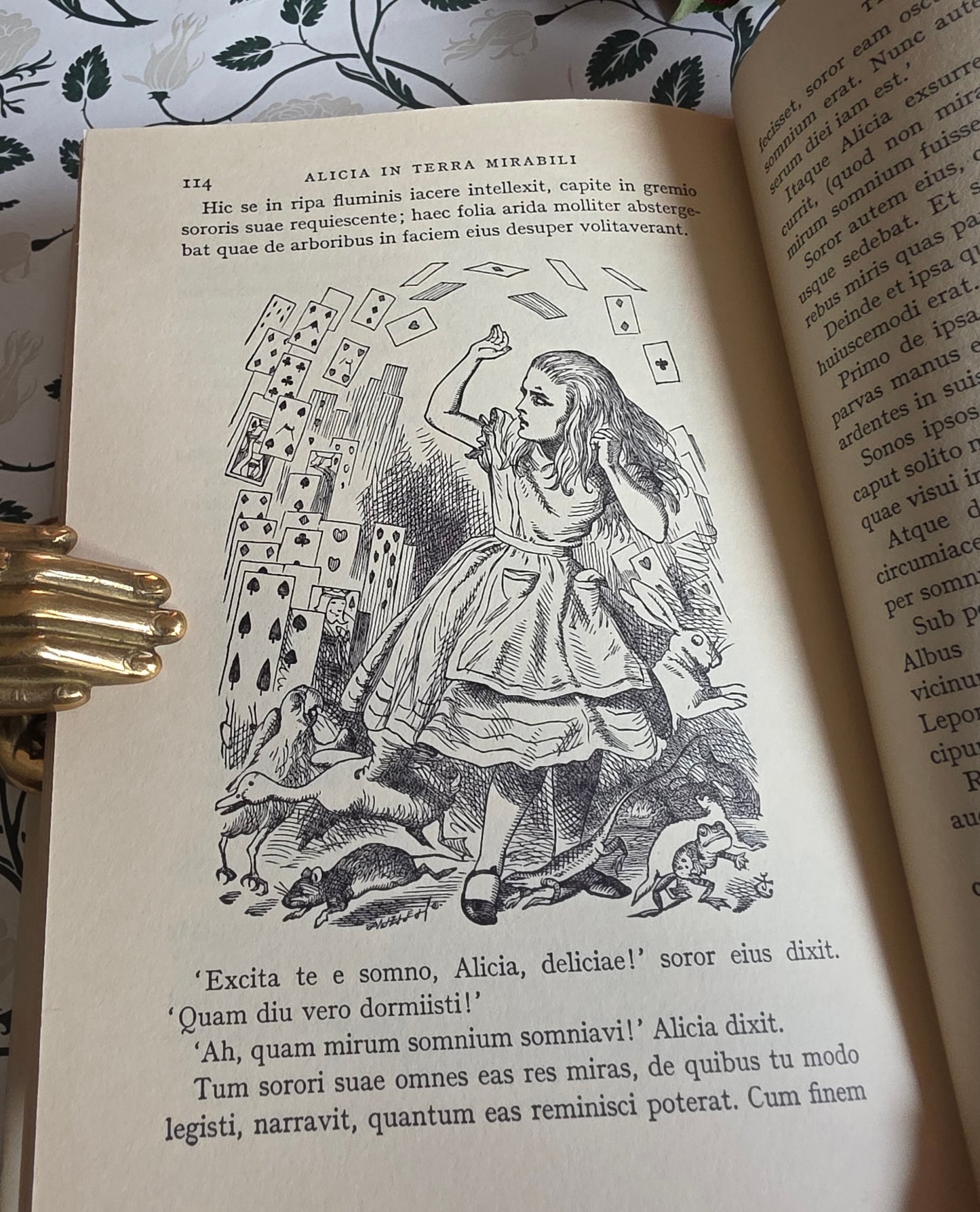 1967 Alice's Adventures in Wonderland in Latin - Illustrated Vintage Book