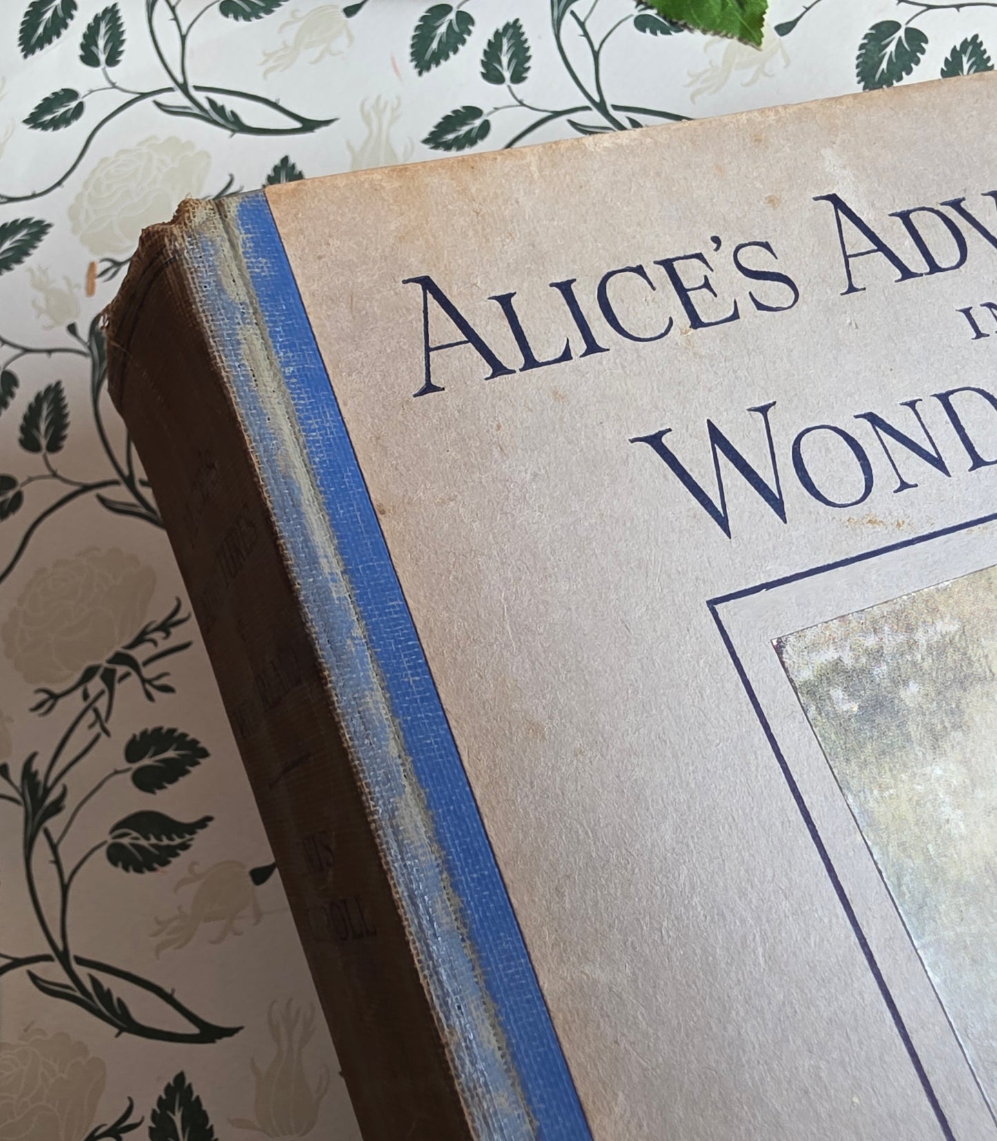 1920s Alice's Adventures in Wonderland by Lewis Carroll - Illustrated Antique Book