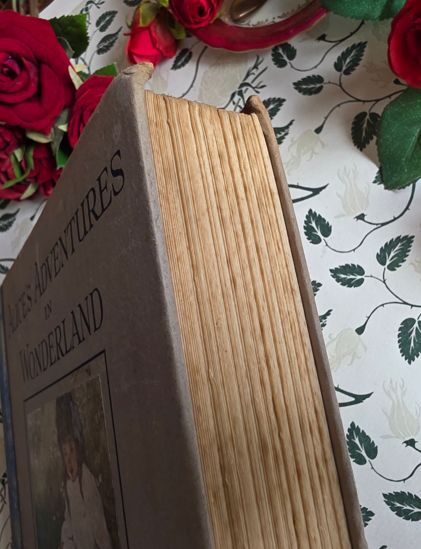 1920s Alice's Adventures in Wonderland by Lewis Carroll - Illustrated Antique Book