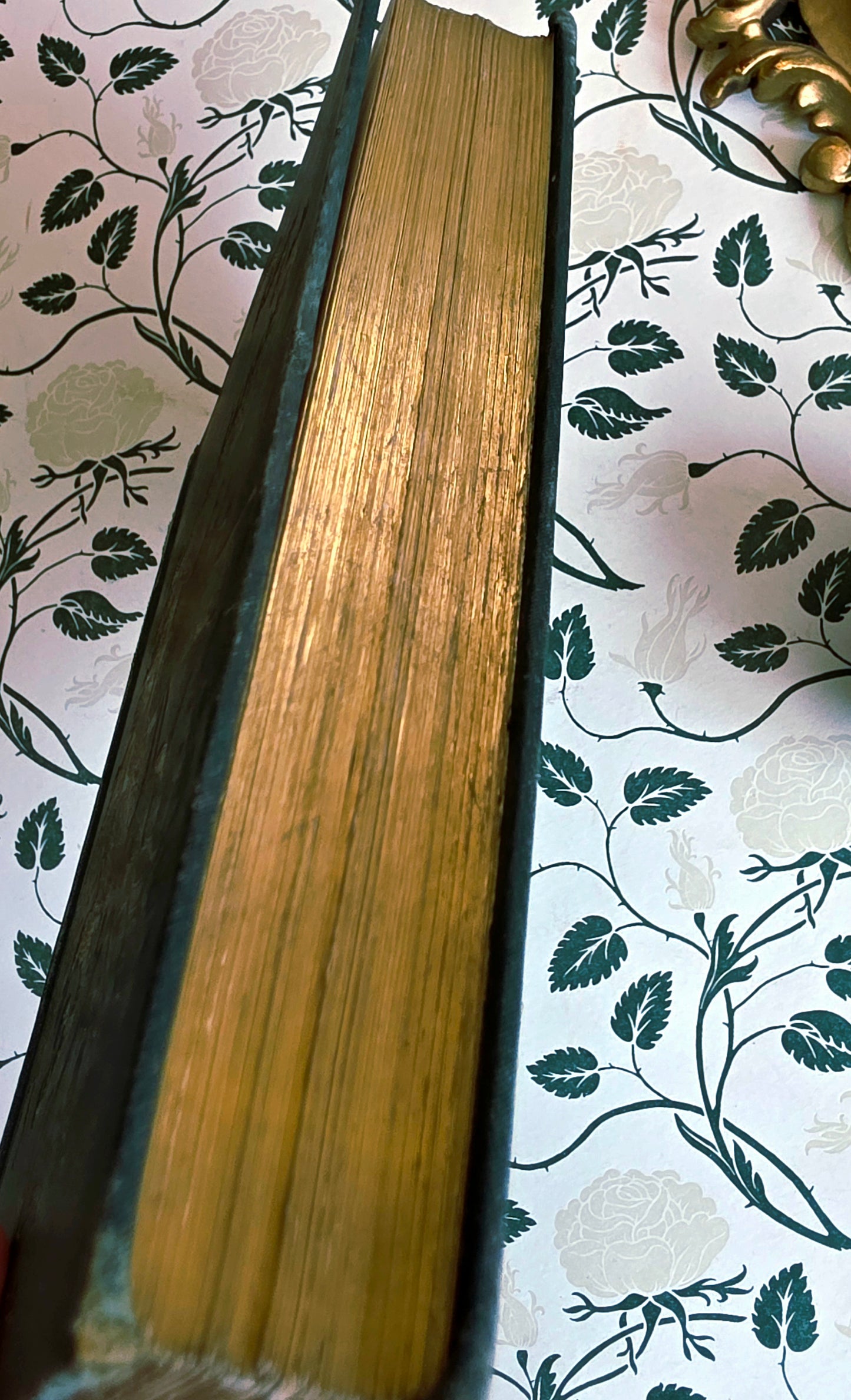 1895 The Green Fairy Book - Illustrated Antique Book