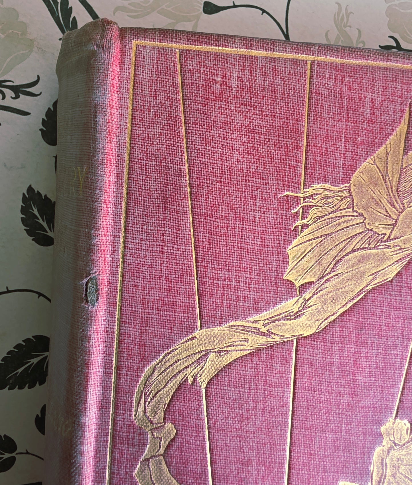 1897 The Pink Fairy Book - First Edition - Illustrated Antique Book
