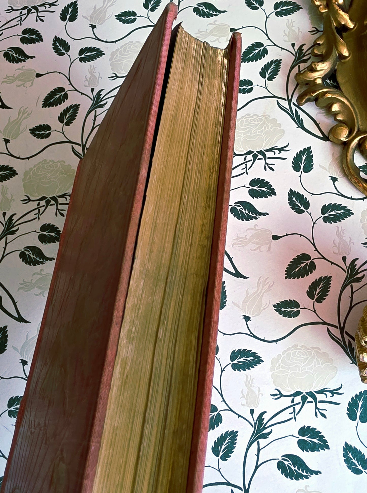 1897 The Pink Fairy Book - First Edition - Illustrated Antique Book