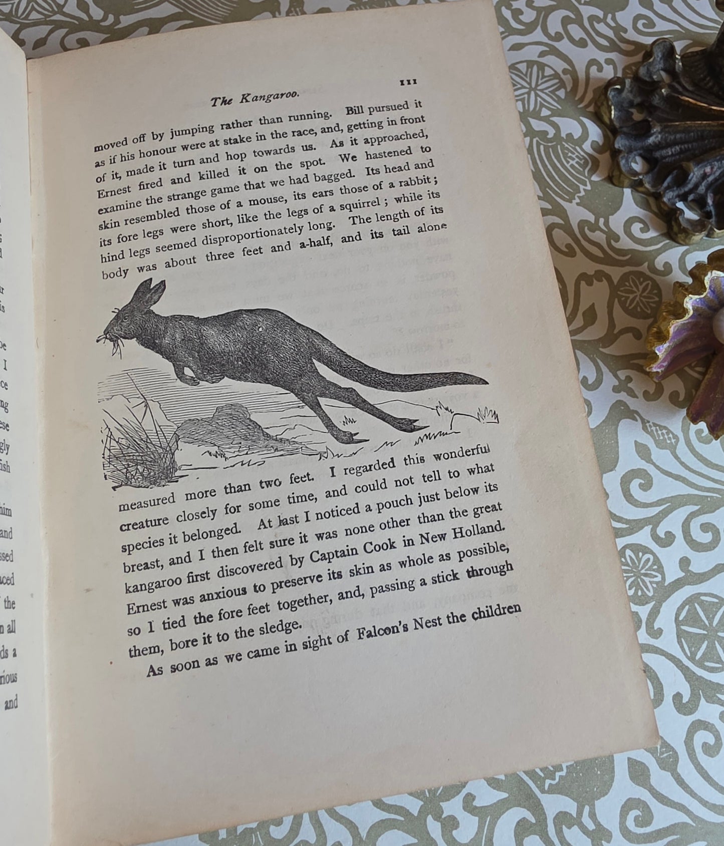 1912 The Swiss Family Robinson - Illustrated Antique Book
