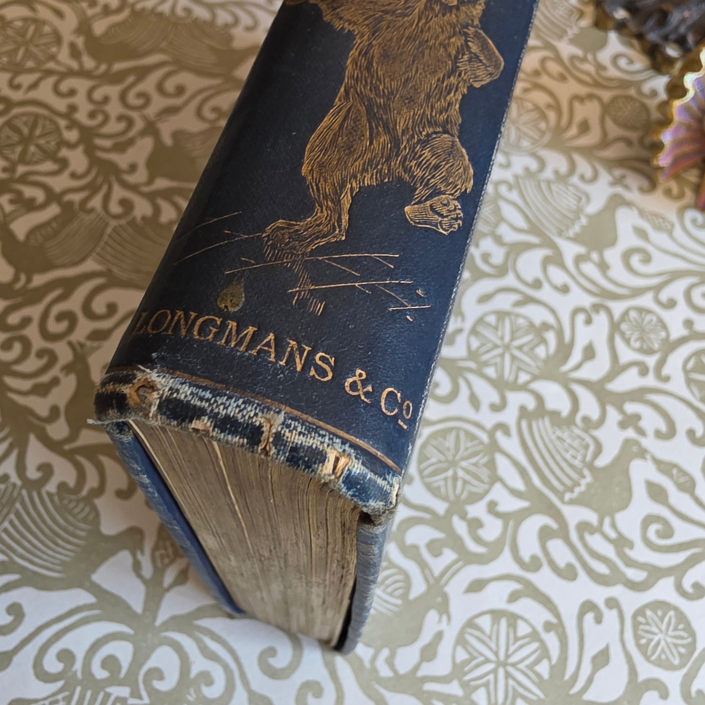 1896 The Animal Story Book Ed. Andrew Lang /  Illustrated Antique Book