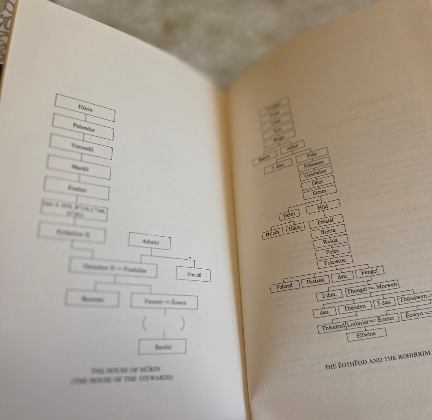 1978 Complete Guide to Middle-Earth From The Hobbit to Silmarillion