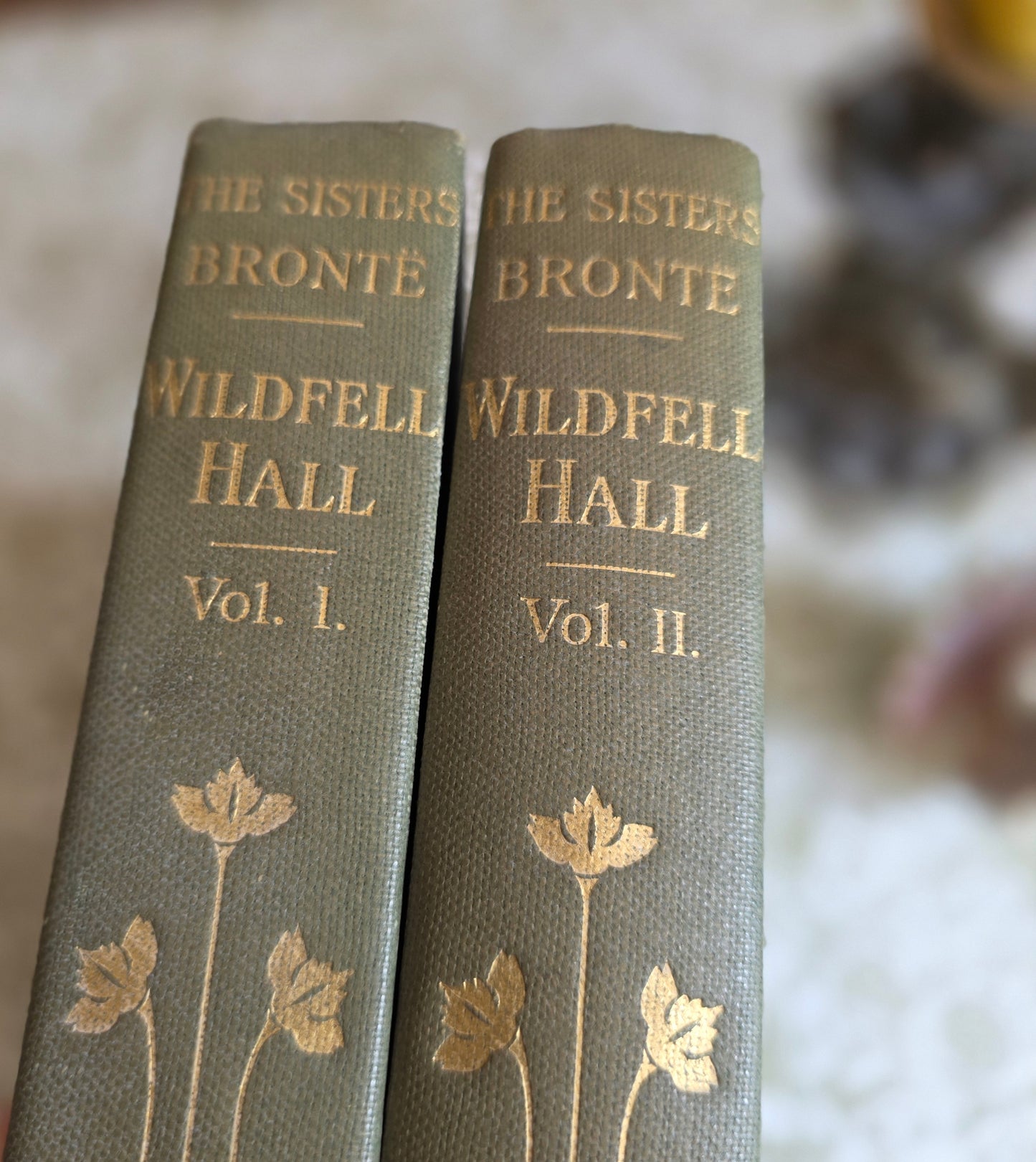 1905 The Tenant of Wildfell Hall by Anne Bronte in Two Volumes
