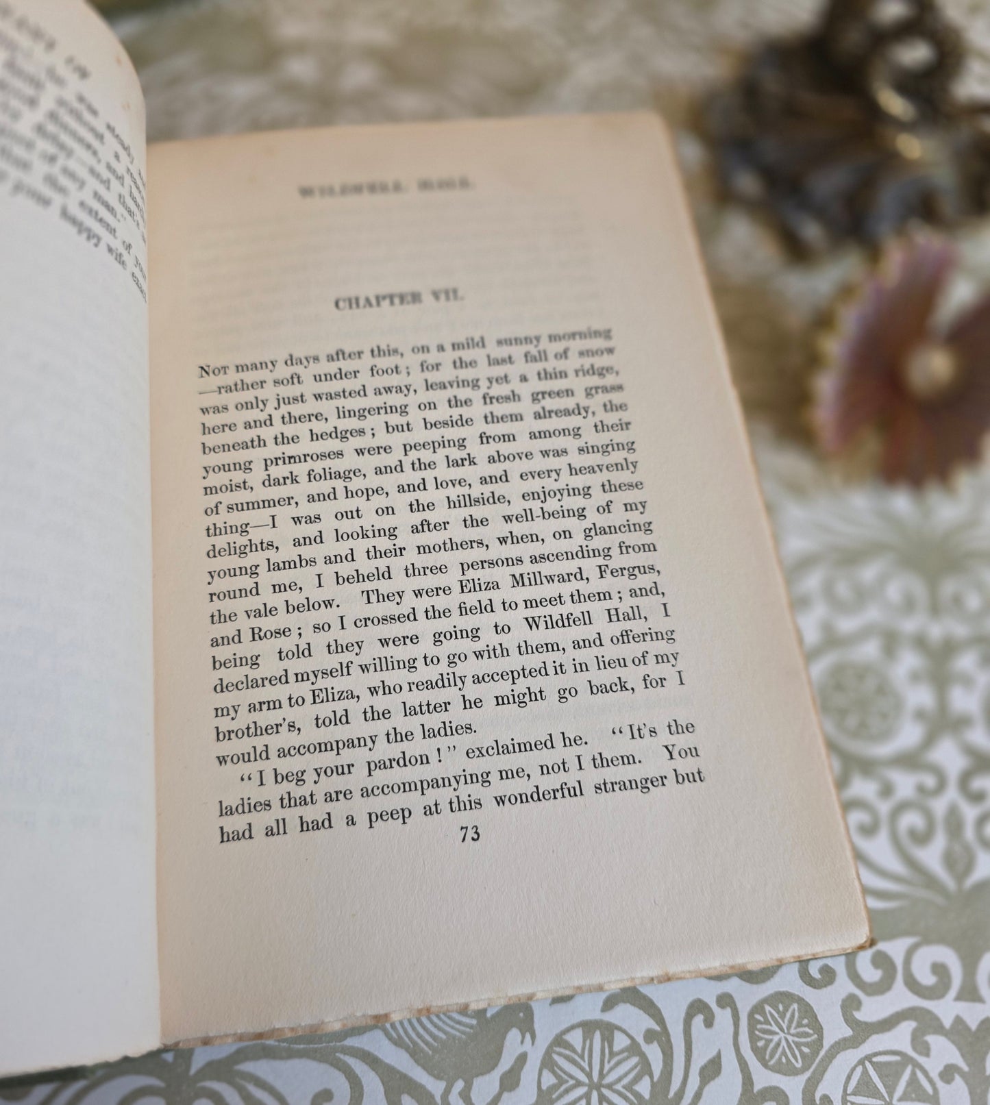 1905 The Tenant of Wildfell Hall by Anne Bronte in Two Volumes