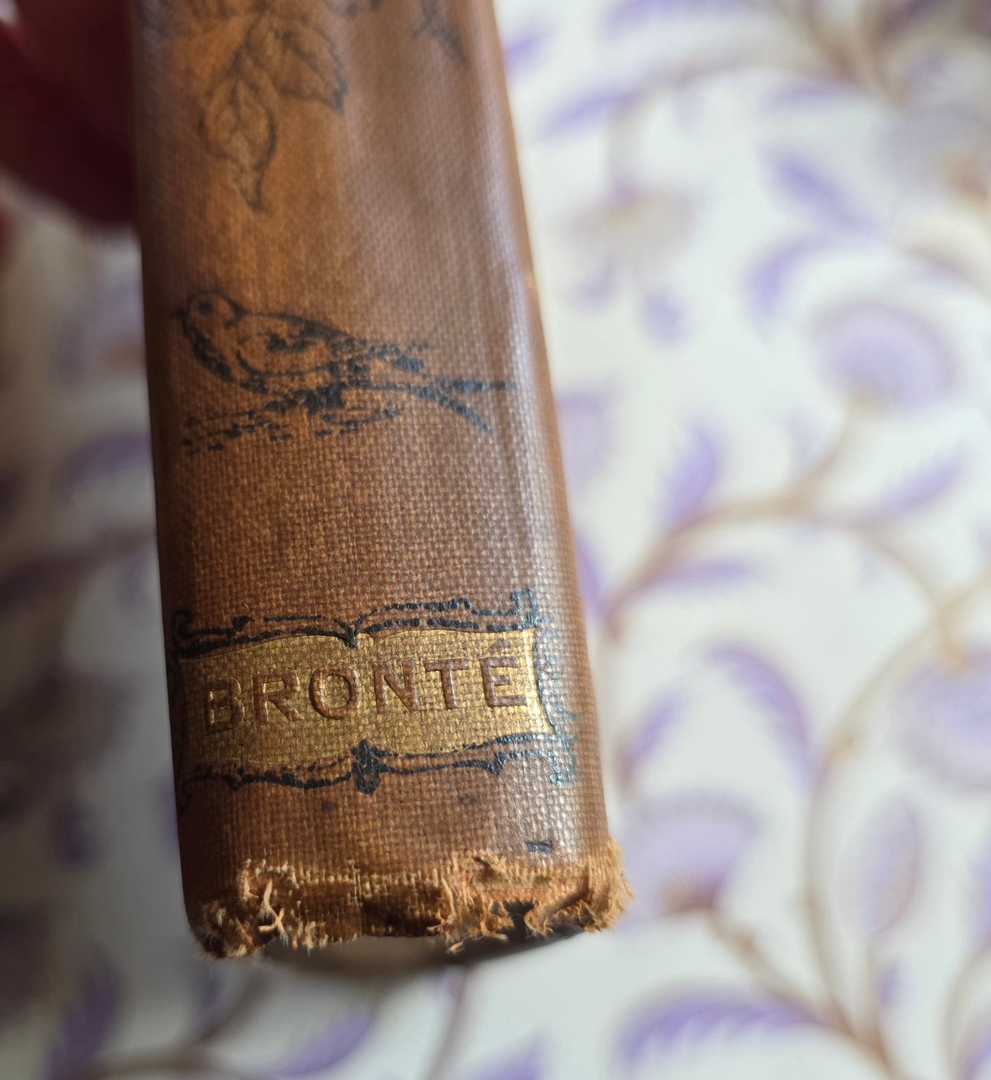 1890s Austen's Emma and Brontes' Wuthering Heights, Agnes Grey Set of Two Antique Books