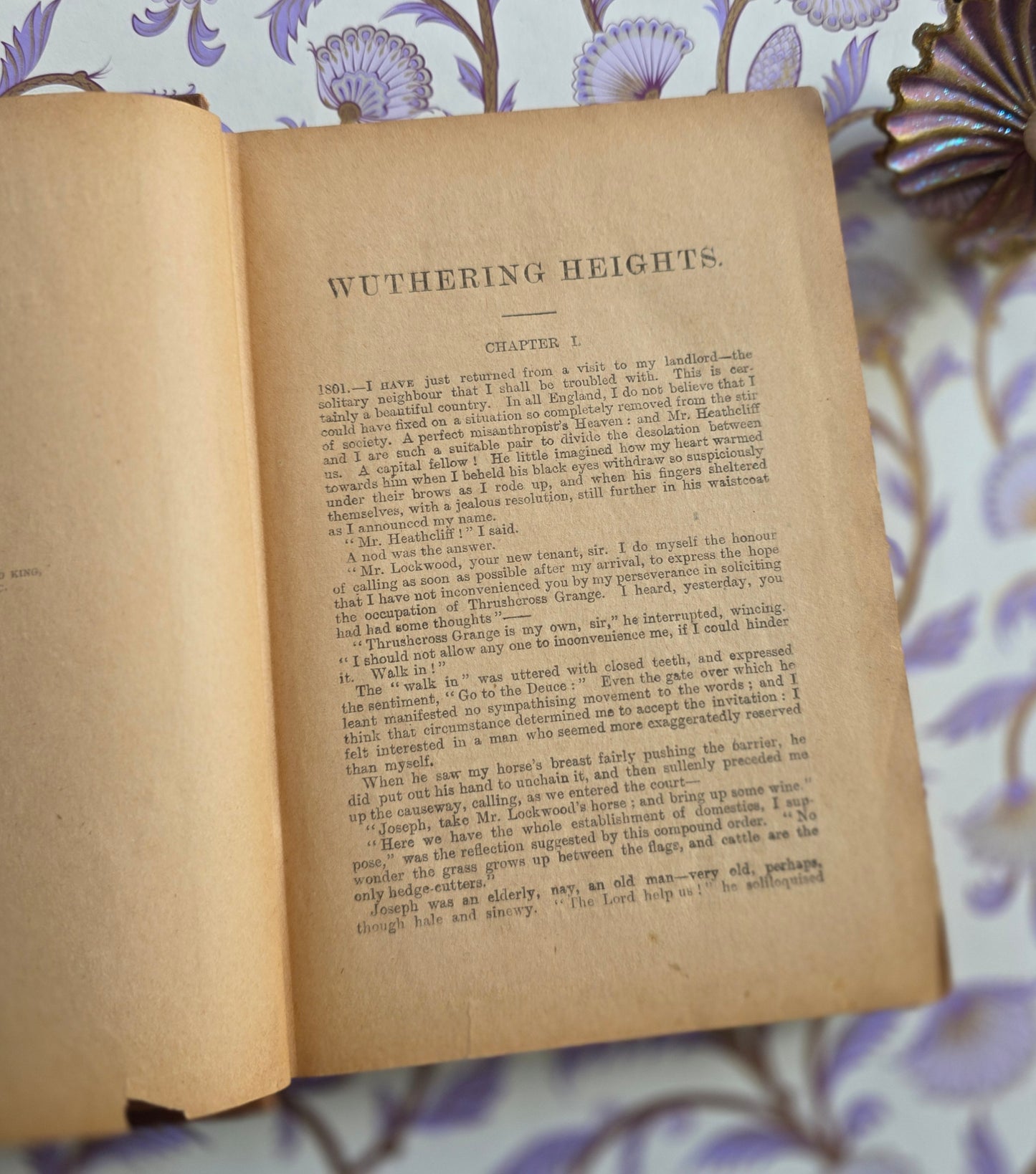 1890s Austen's Emma and Brontes' Wuthering Heights, Agnes Grey Set of Two Antique Books