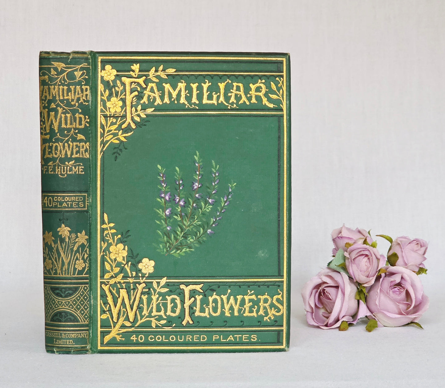 1891 Familiar Wild Flowers / Illustrated Victorian Antique Book (Third Series)