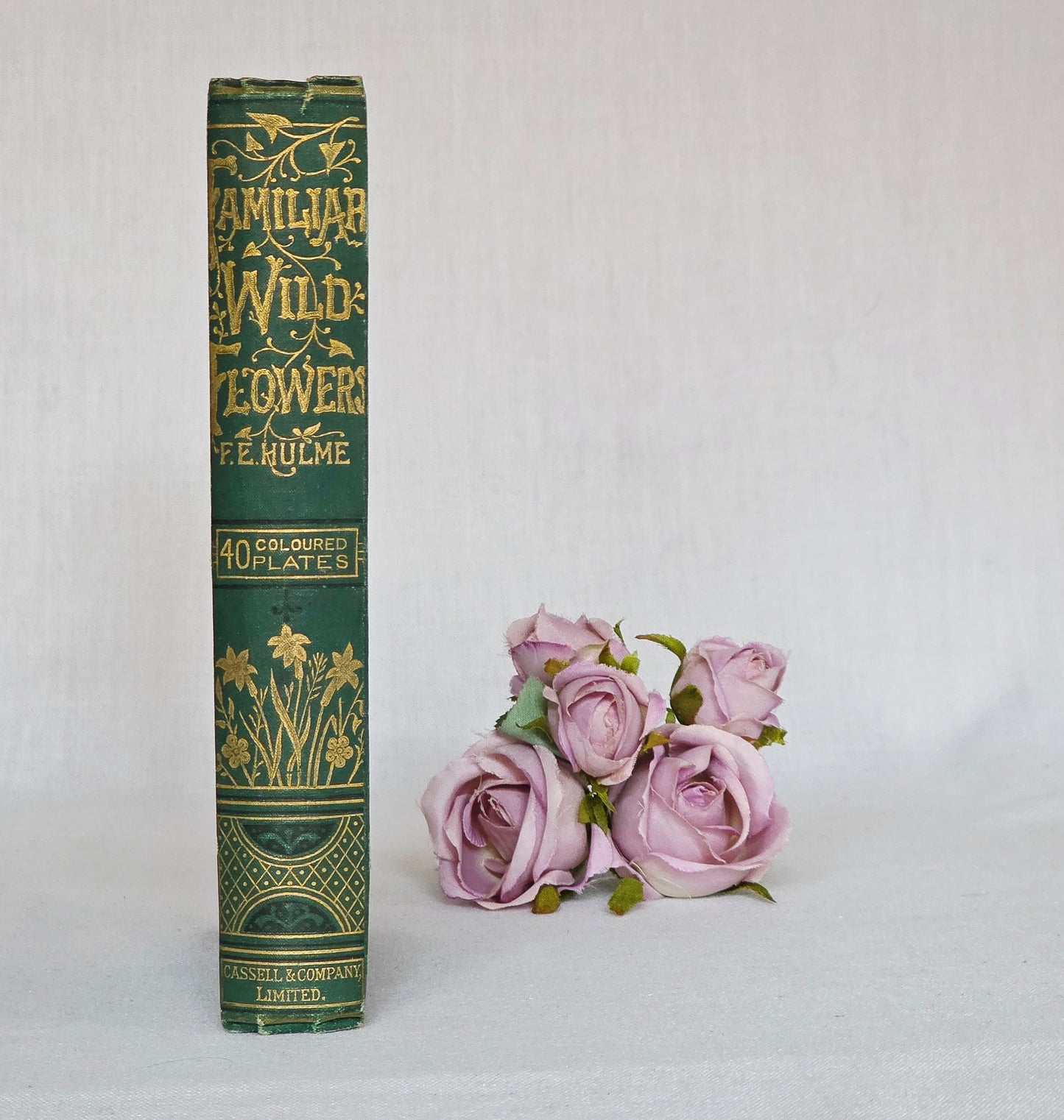 1891 Familiar Wild Flowers / Illustrated Victorian Antique Book (Third Series)