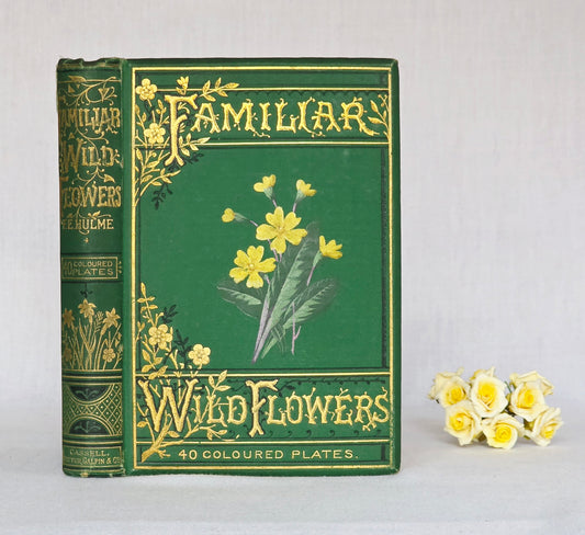 1883 Familiar Wild Flowers / Illustrated Victorian Antique Book (First Series)
