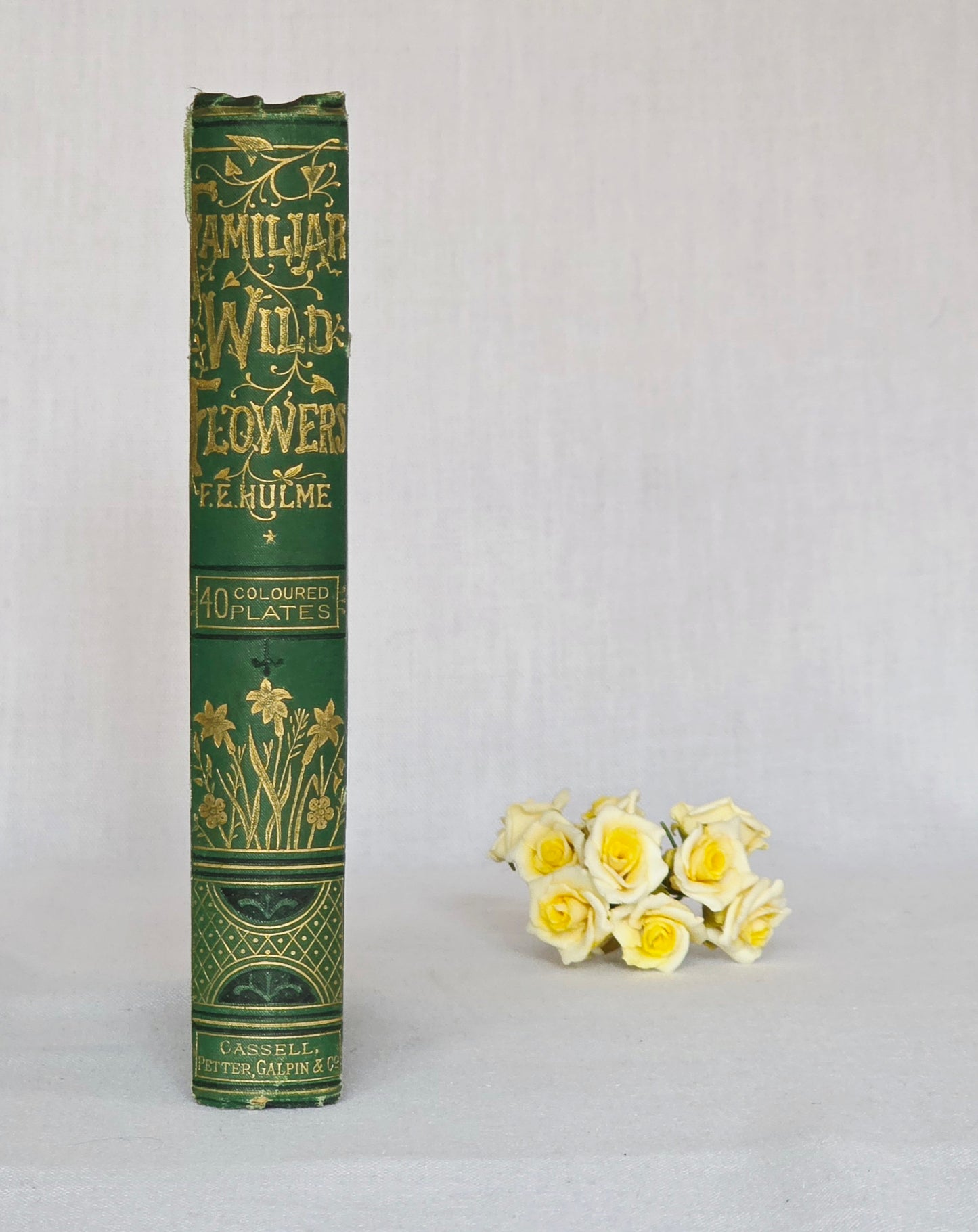 1883 Familiar Wild Flowers / Illustrated Victorian Antique Book (First Series)