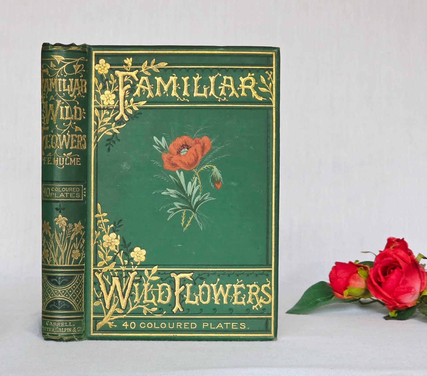 1883 Familiar Wild Flowers / Illustrated Victorian Antique Book (Fourth Series)