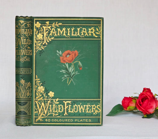 1883 Familiar Wild Flowers / Illustrated Victorian Antique Book (Fourth Series)