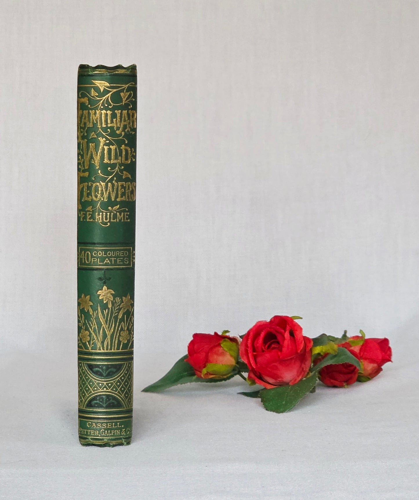 1883 Familiar Wild Flowers / Illustrated Victorian Antique Book (Fourth Series)
