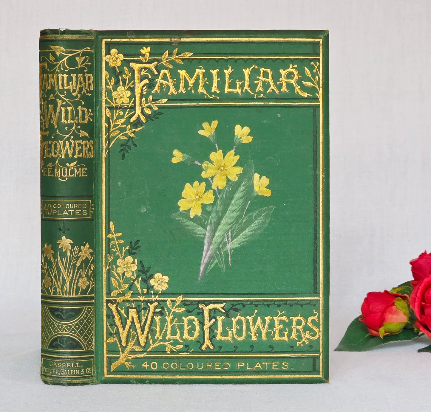 1883 Familiar Wild Flowers / Illustrated Victorian Antique Book (Second Series)