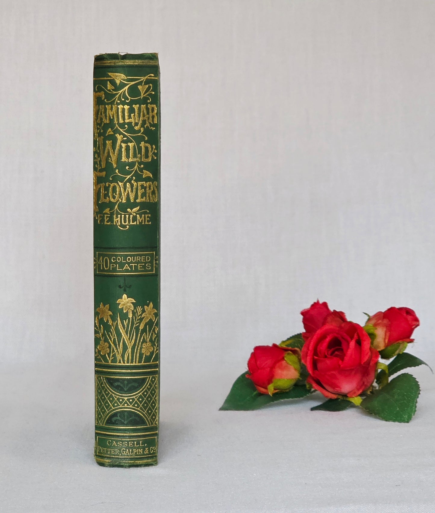 1883 Familiar Wild Flowers / Illustrated Victorian Antique Book (Second Series)