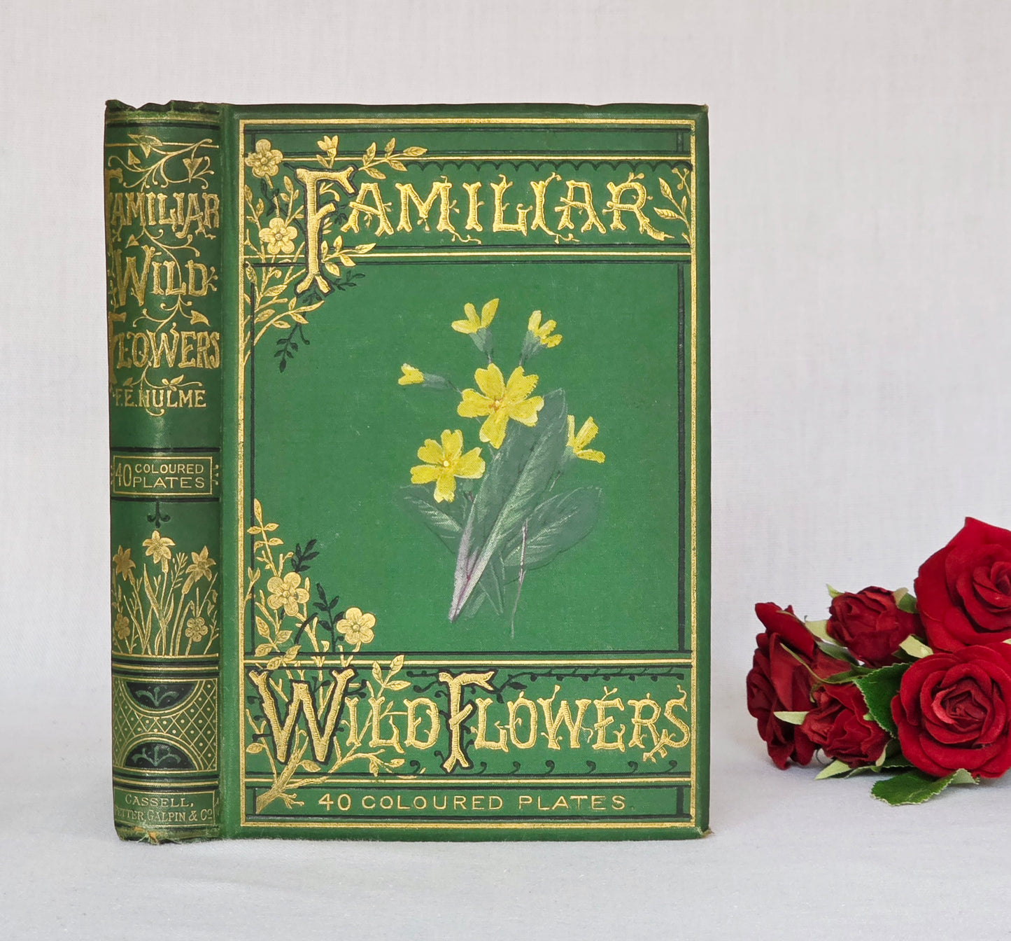 1883 Familiar Wild Flowers / Illustrated Victorian Antique Book (Third Series)