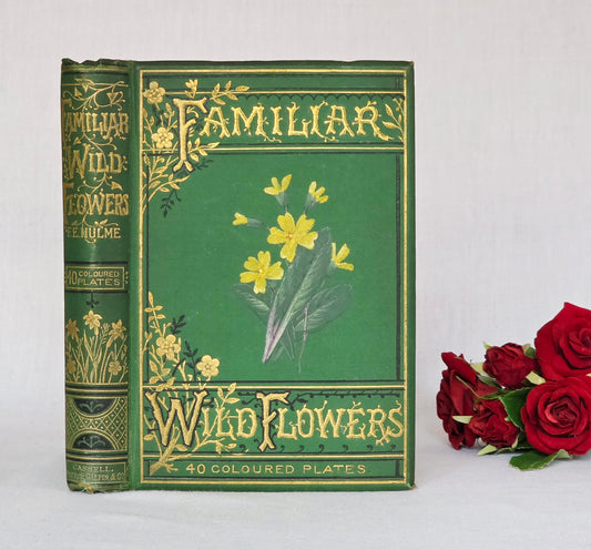 1883 Familiar Wild Flowers / Illustrated Victorian Antique Book (Third Series)