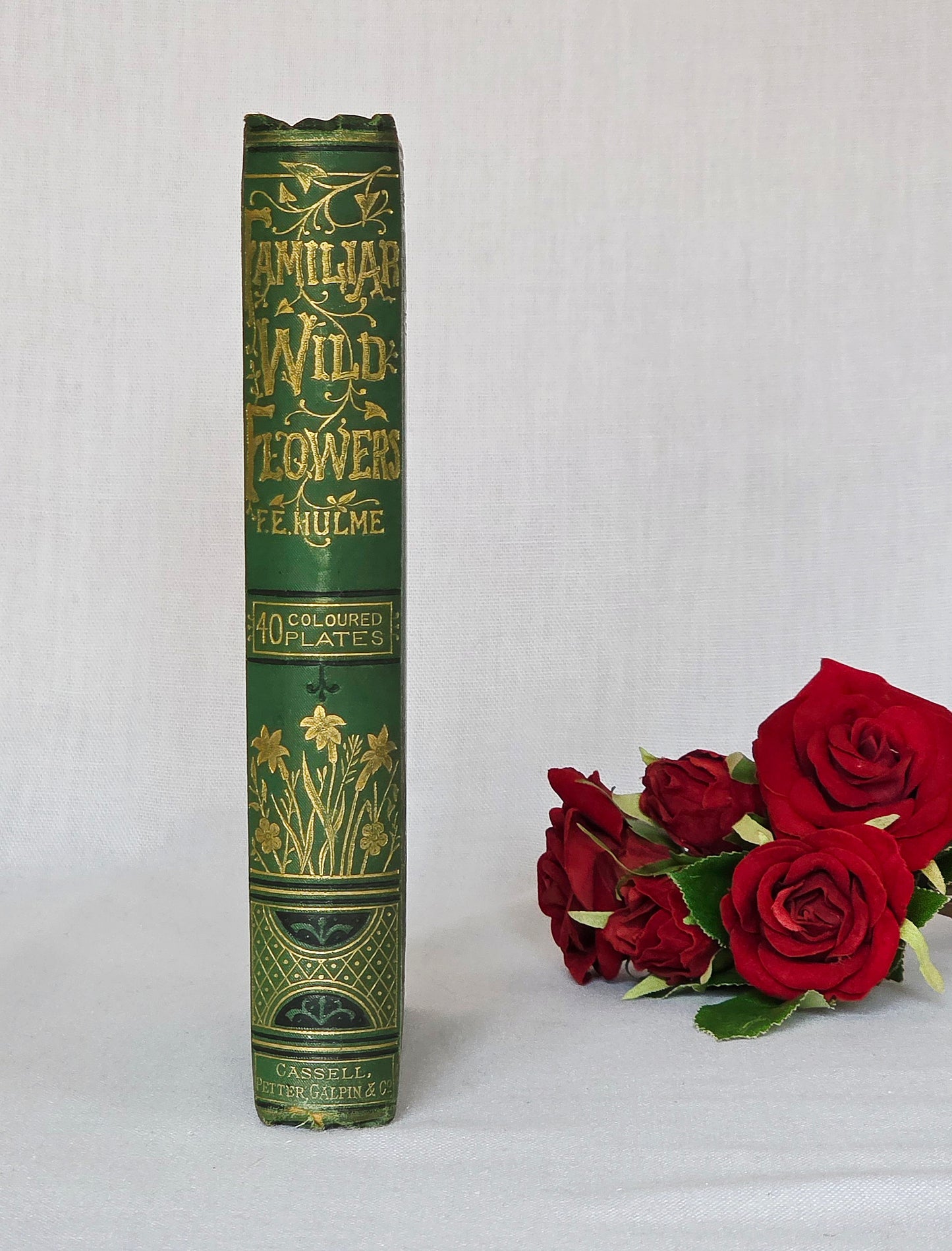 1883 Familiar Wild Flowers / Illustrated Victorian Antique Book (Third Series)