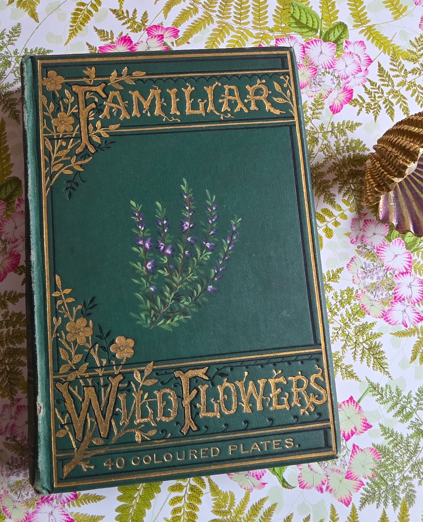 1891 Familiar Wild Flowers / Illustrated Victorian Antique Book (Third Series)