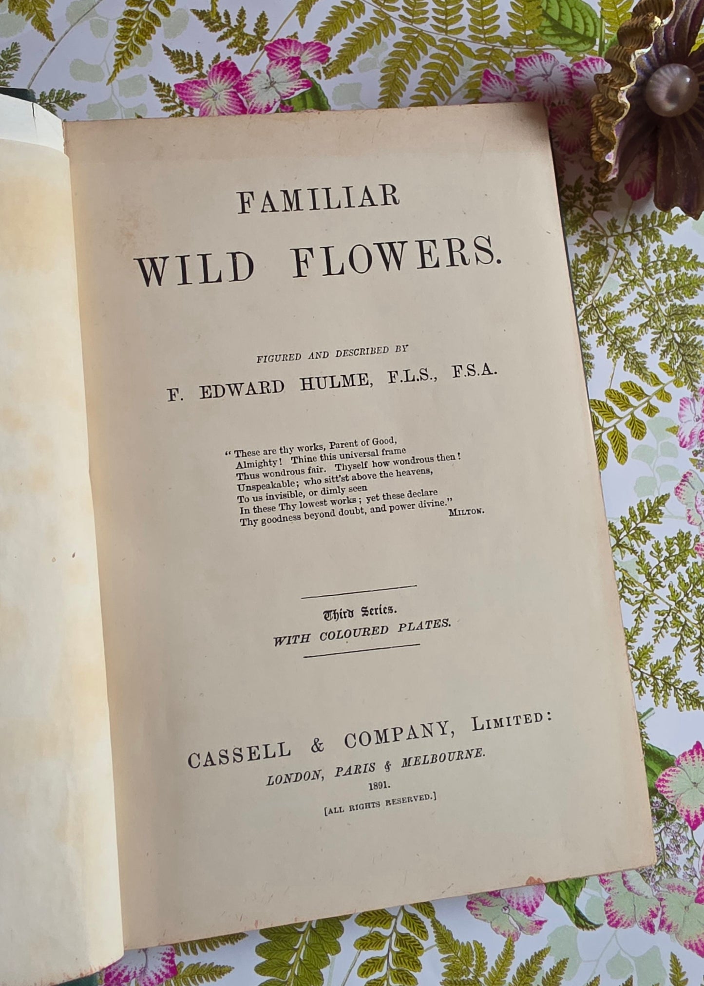 1891 Familiar Wild Flowers / Illustrated Victorian Antique Book (Third Series)