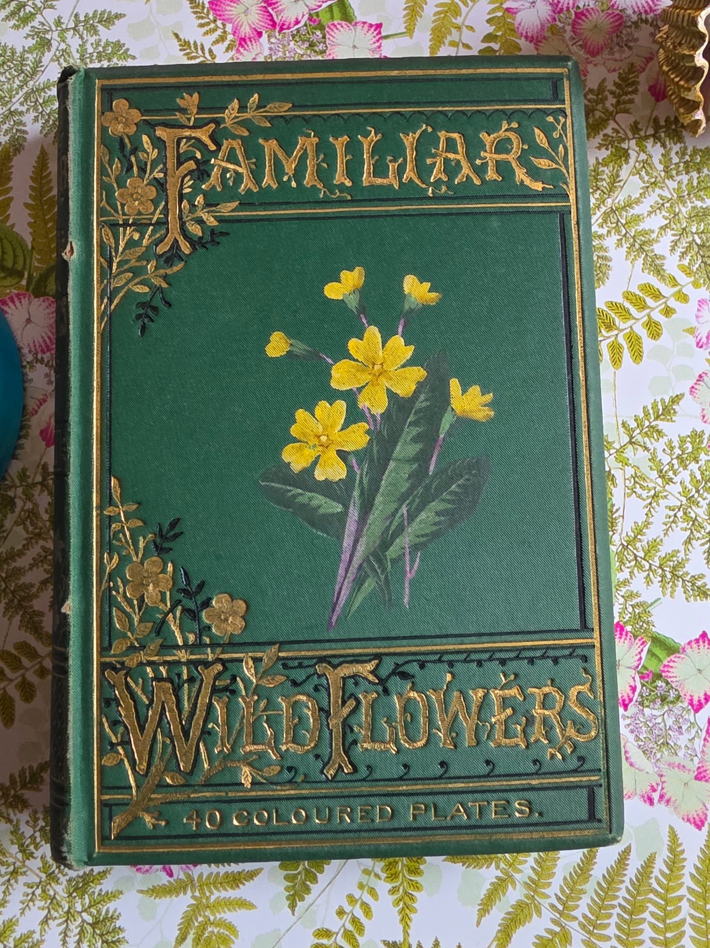 1883 Familiar Wild Flowers / Illustrated Victorian Antique Book (First Series)