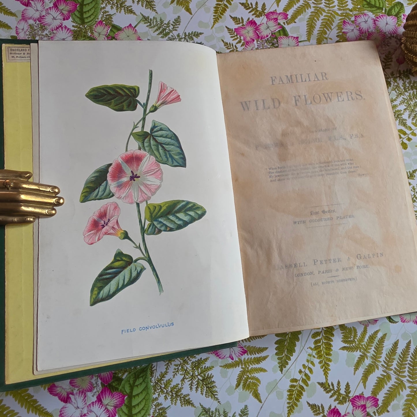 1883 Familiar Wild Flowers / Illustrated Victorian Antique Book (First Series)
