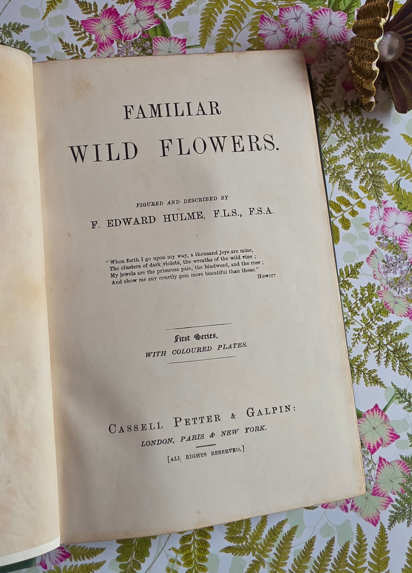 1883 Familiar Wild Flowers / Illustrated Victorian Antique Book (First Series)