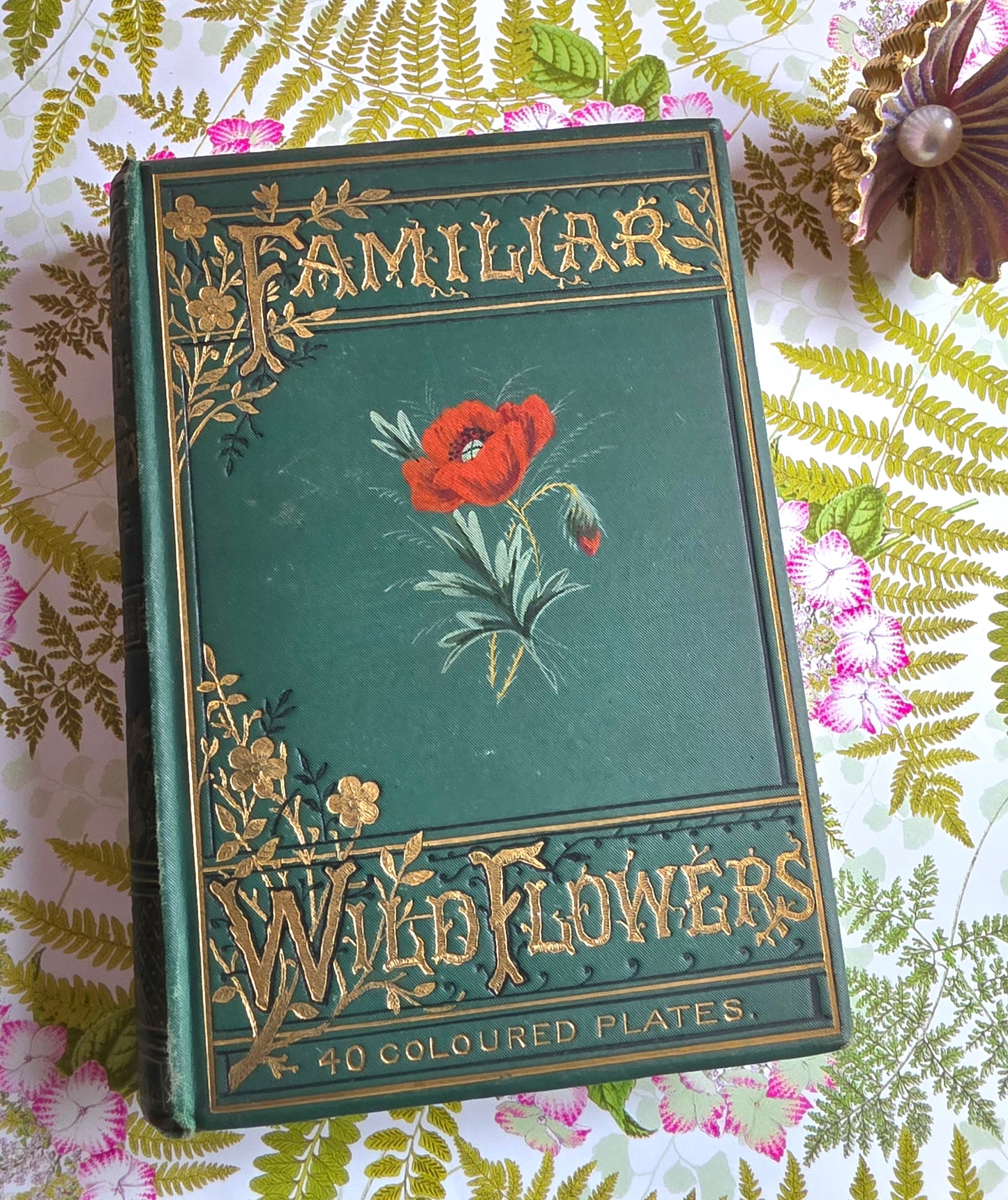 1883 Familiar Wild Flowers / Illustrated Victorian Antique Book (Fourth Series)