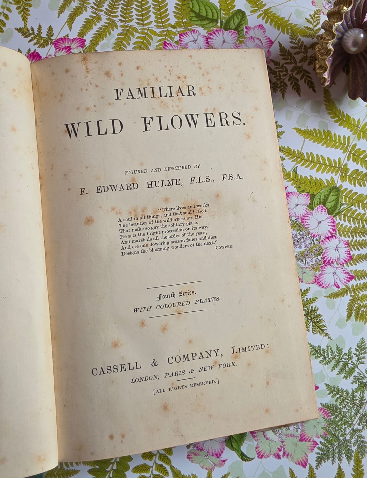 1883 Familiar Wild Flowers / Illustrated Victorian Antique Book (Fourth Series)