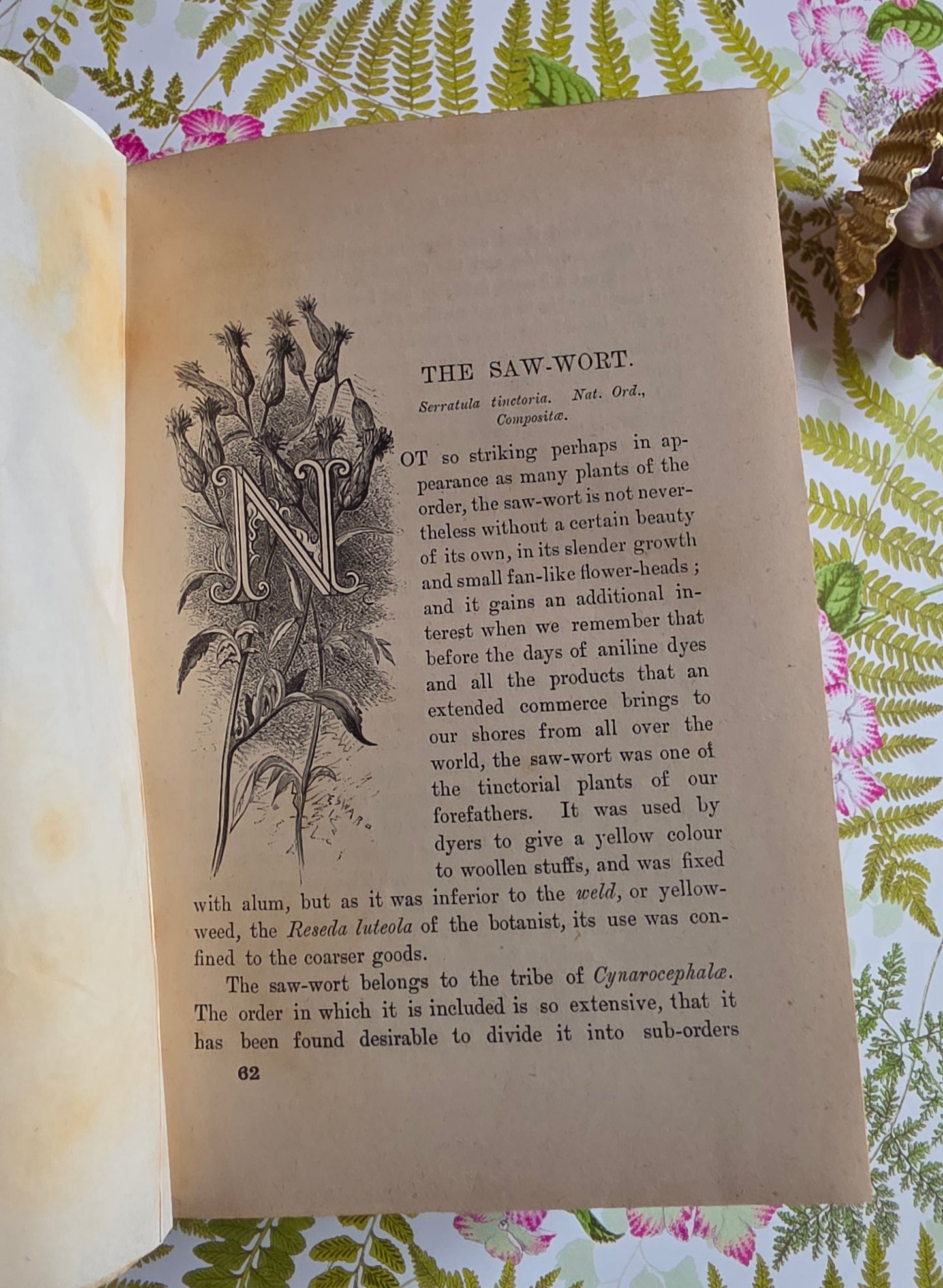 1883 Familiar Wild Flowers / Illustrated Victorian Antique Book (Fourth Series)