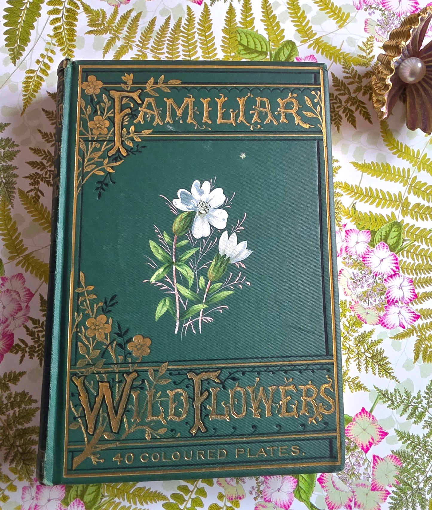 RESERVED RESERVED 1892 Familiar Wild Flowers / Illustrated Victorian Antique Book (Fourth Series)