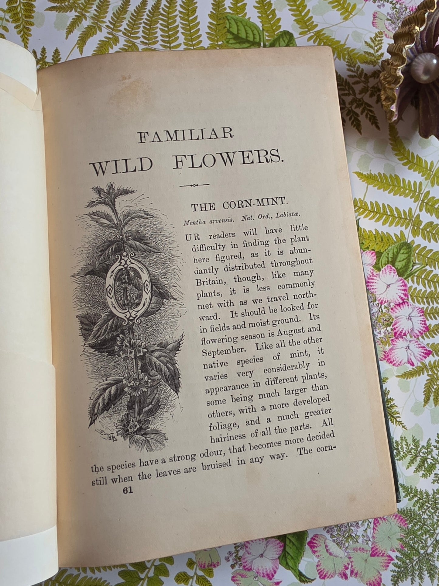 RESERVED RESERVED 1892 Familiar Wild Flowers / Illustrated Victorian Antique Book (Fourth Series)