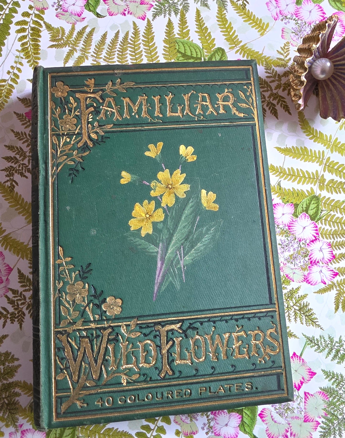 1883 Familiar Wild Flowers / Illustrated Victorian Antique Book (Second Series)